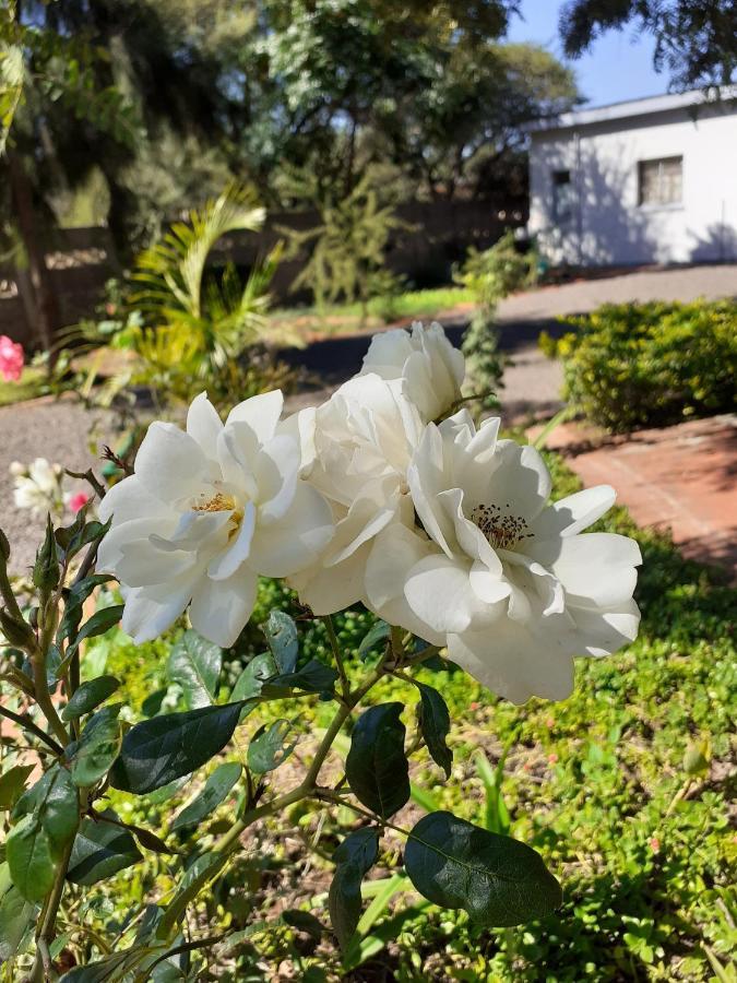 Driftwood Boutique Bed And Breakfast Lobatse ภายนอก รูปภาพ